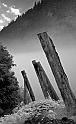 tilted pilings